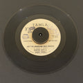 Marvin Gaye & Tammi Terrell – Ain't No Mountain High Enough record