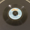 Bobby Caldwell – What You Won't Do For Love / Love Won't Wait record