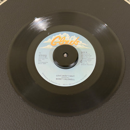 Bobby Caldwell – What You Won't Do For Love / Love Won't Wait