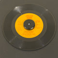 Dwight Twilley Band – Could Be Love / Feeling In The Dark record