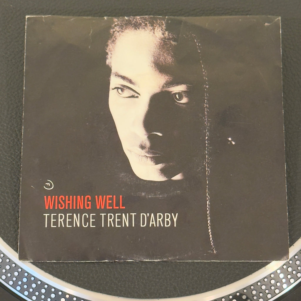 7" vinyl record by Terence Trent D'Arby featuring "Wishing Well/Elevators & Hearts", released on Columbia (38-07675), in VG+ (Very Good Plus) condition, classic analog collectable for turntable playback. Classic slice of late '80s pop/soul royalty: Terence Trent D’Arby’s smash hit "Wishing Well" with its pic sleeve. WOL