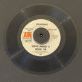 Sergio Mendes & Brasil '66 - For What It's Worth / Viramundo