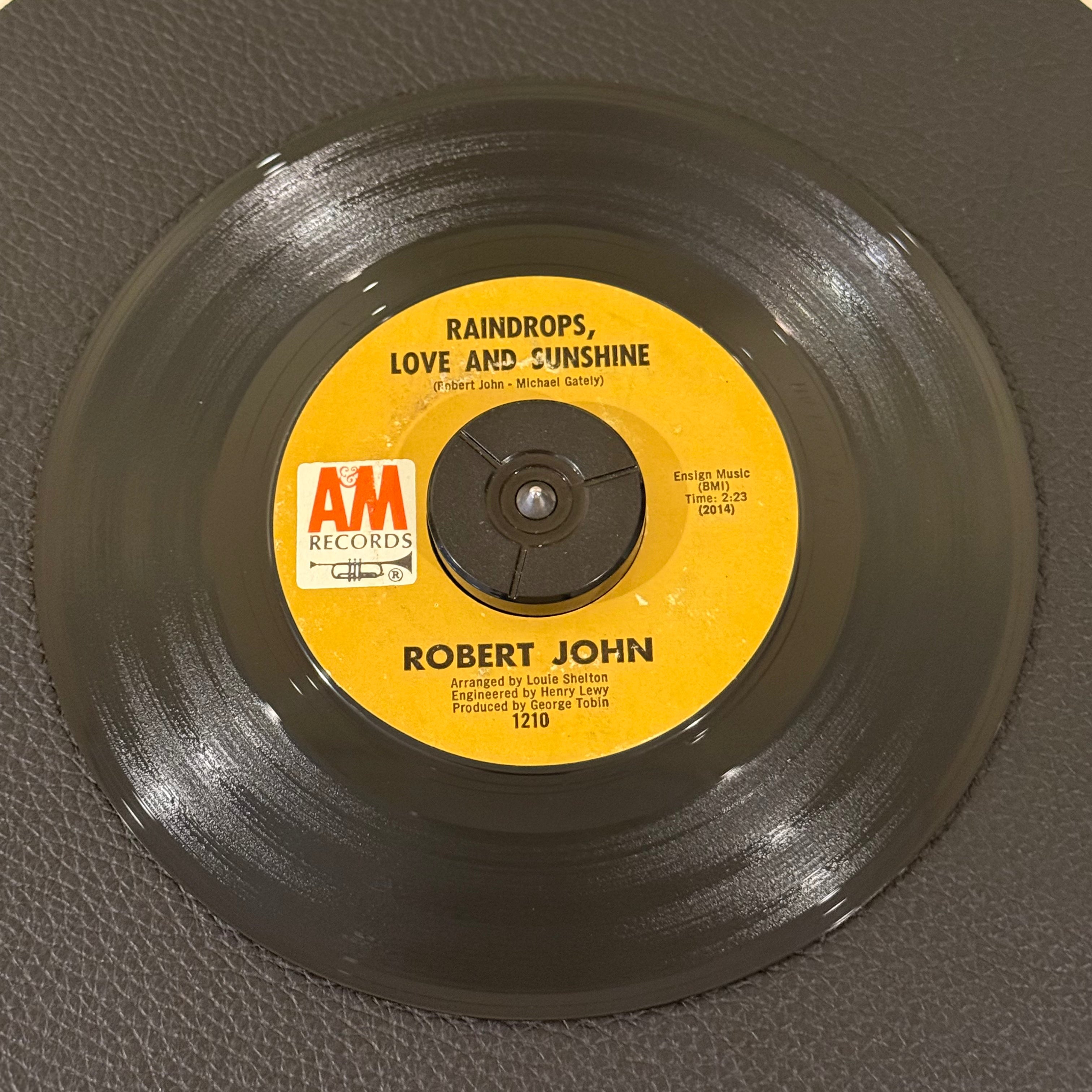 Robert John - When The Party Is Over / Raindrops, Love and Sunshine